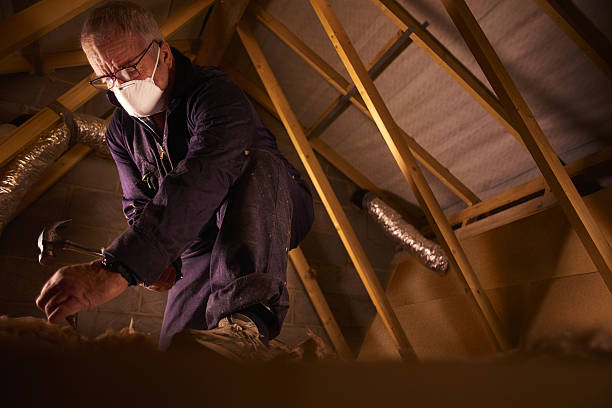 Best Eco-Friendly Insulation in Prudhoe Bay, AK